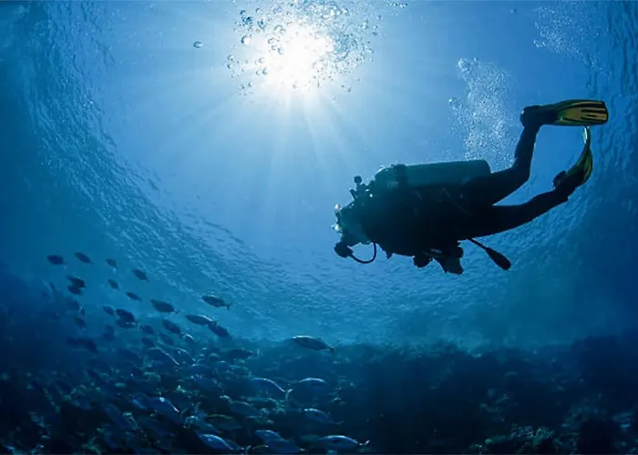 Mirador Canteras-auditorio Las Palmas de Gran Canaria